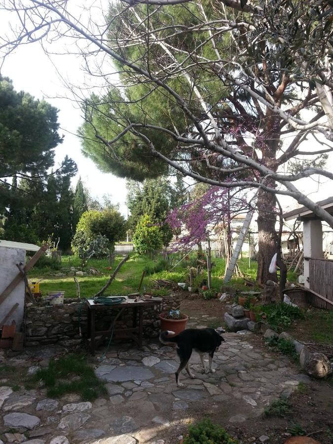 Ecer Pansiyon Kusadası Exterior foto